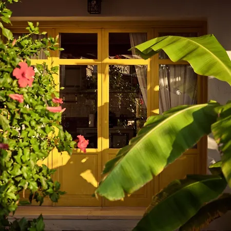 Zakynthos * Vasilikí