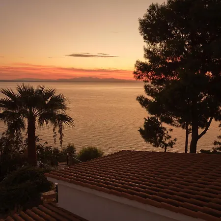 扎金索斯别墅 * Vasilikí