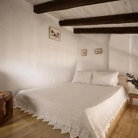 扎金索斯别墅 别墅