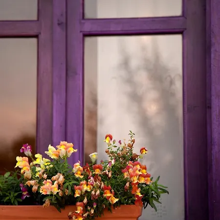 וילה Zakynthos Vasilikí